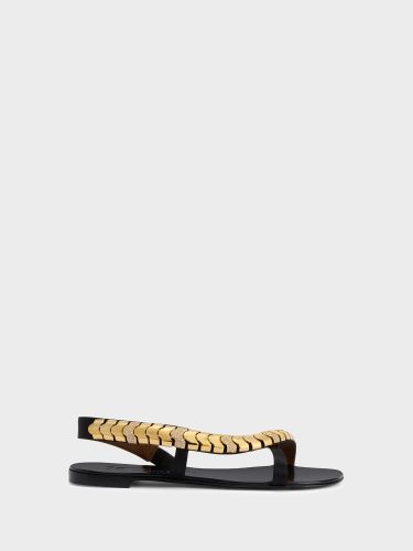 Dafne Flat Sandal - Giuseppe Zanotti - Modalova