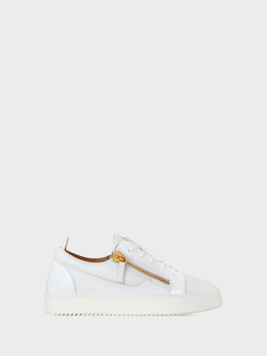 Gail Sneakers - Giuseppe Zanotti - Modalova