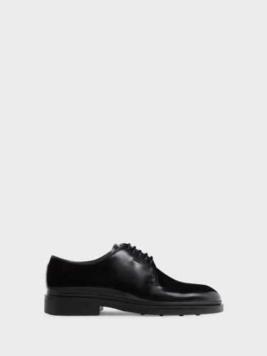 Octavius Lace-up - Giuseppe Zanotti - Modalova