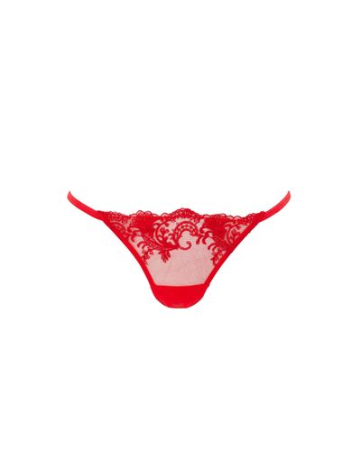 Marseille Embroidered Sheer Thong Red - Bluebella - US - Modalova