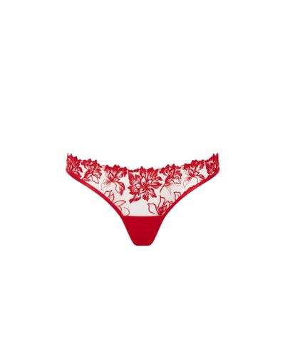 Samara Embroidered Panty Red - Bluebella - US - Modalova