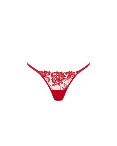Samara Embroidered Thong Red - Bluebella - US - Modalova