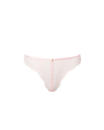 Peyton Lace Thong Pink - Bluebella - US - Modalova