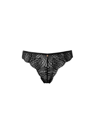 Peyton Lace Thong Black - Bluebella - US - Modalova