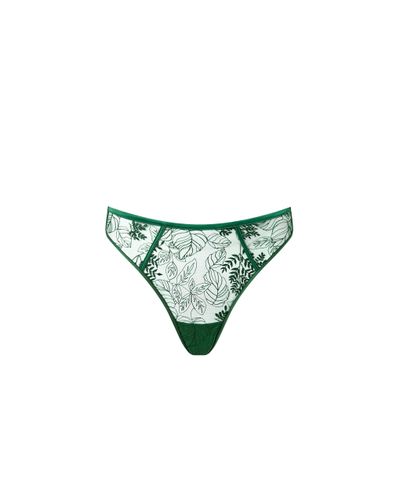 Seraphim Embroidered High-Waisted Thong Black - Bluebella - US - Modalova