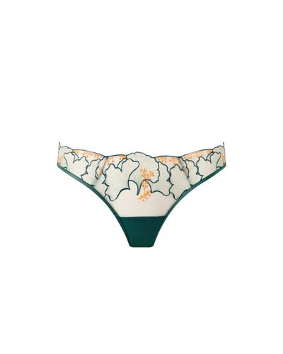 Gianna Sheer Brief Green/Orange - Bluebella - US - Modalova