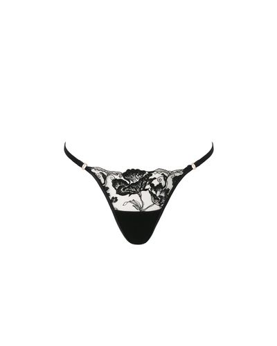 Morelle Embroidered Sheer Thong Black - Bluebella - US - Modalova