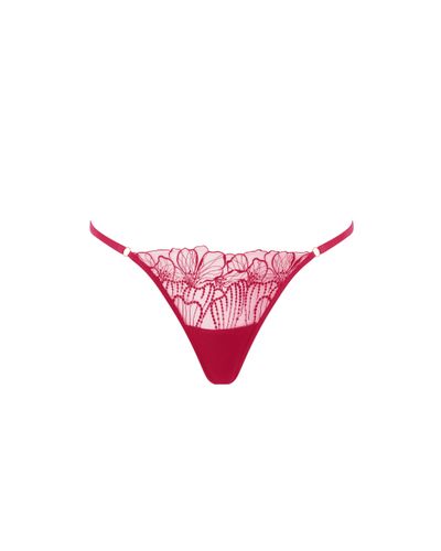 Amarosa Floral Embroidered Thong Pink - Bluebella - US - Modalova
