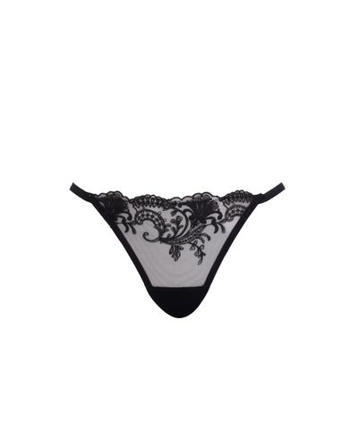 Marseille Embroidered Sheer Thong Black - Bluebella - US - Modalova