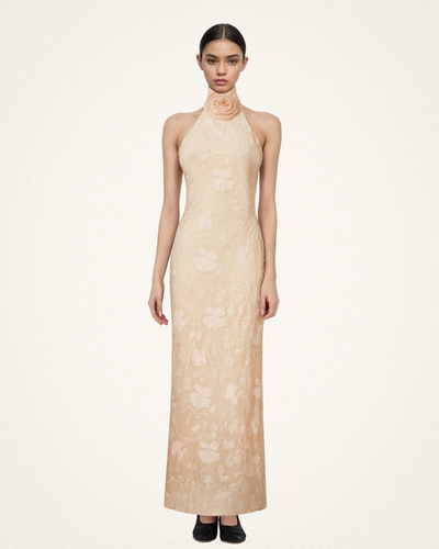 Robe longue rose beige à col halter en dentelle florale Uliana - Rose Beige - JW PEI - Modalova