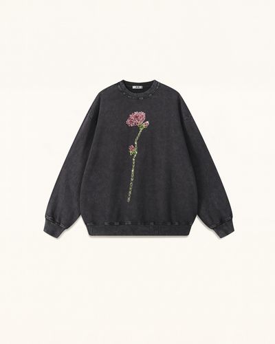Le pull rose à strass The Enchanted - Noir - JW PEI - Modalova