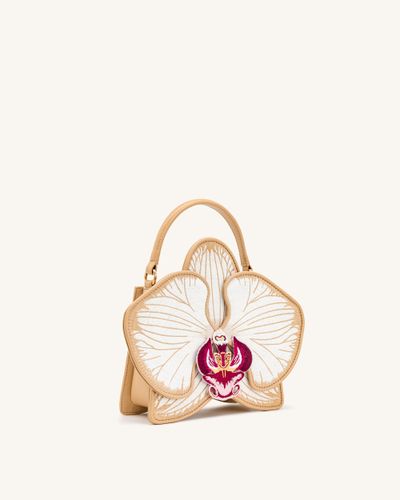 Flora Sac à poignée supérieure en forme d'orchidée - Champagne - JW PEI - Modalova