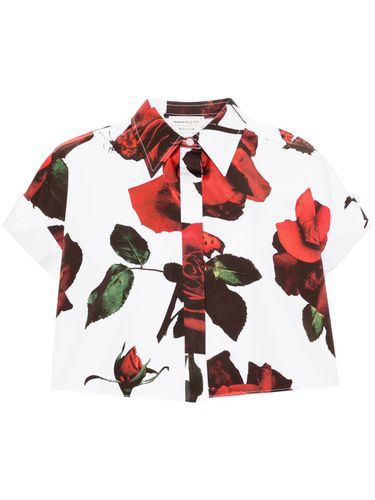 Rose Print Shirt - Alexander McQueen - Modalova