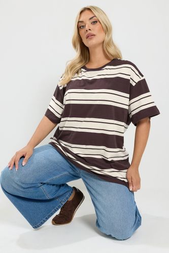 Tshirt Marron Chocolat À Rayures Size 40 - Yours - Modalova