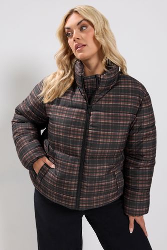 Manteau Rembourré Marron À Carreaux Size 44 - Yours - Modalova