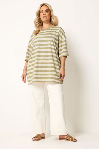 Tshirt Droit Marron Naturel Et Crème Size 54-56 - Yours - Modalova