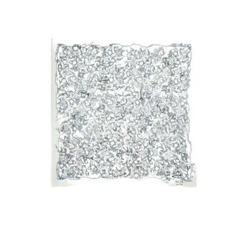 Foulard Kerry Roses 135 - Zadig & Voltaire - Modalova