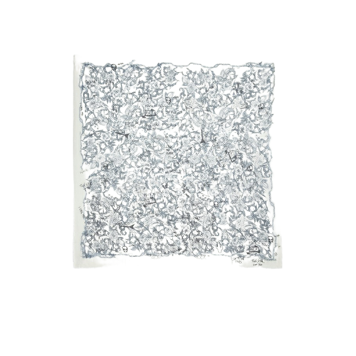 Foulard Kerry Roses 135 - Zadig & Voltaire - Modalova