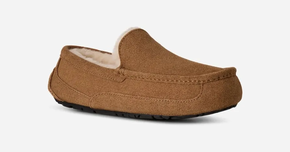 Ascot | UE in Brown, Taille 41, Daim - Ugg - Modalova