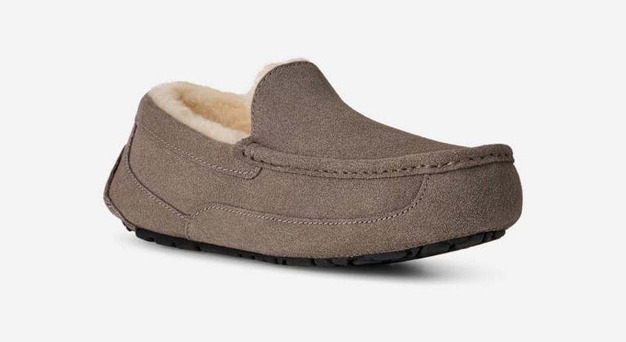 Ascot | UE in , Taille 49.5, Daim - Ugg - Modalova