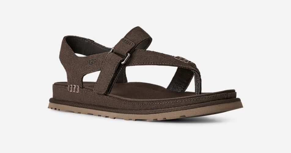 Sandale GoldenGaze Toe Post in , Taille 36, Daim - Ugg - Modalova