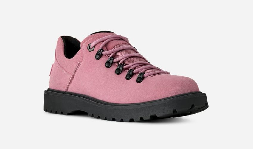 Birch Hiker Chukka in , Taille 42 - Ugg - Modalova