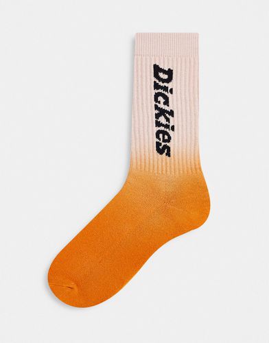 Seatac - Chaussettes effet tie-dye - Orange - Dickies - Modalova
