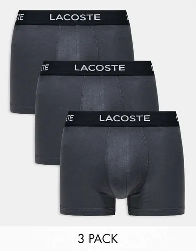 Lot de 3 boxers - foncé - Lacoste - Modalova