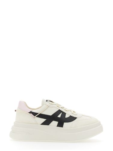 Ash intense sneaker - ash - Modalova