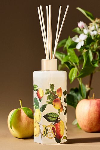Diffuseur en verre Apothecary 18 Fruity Harvest Pomme & Vanille en White chez - Anthropologie - Modalova