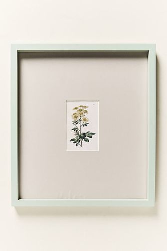 Cadre de galerie tonal en Mint chez - Anthropologie - Modalova
