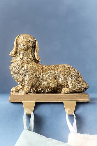 Porte-bas de Noël en forme d'icône animale pour chien en Gold chez - Anthropologie - Modalova