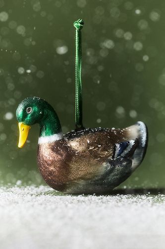 Ornement en verre Canard Colvert en Green chez - Anthropologie - Modalova