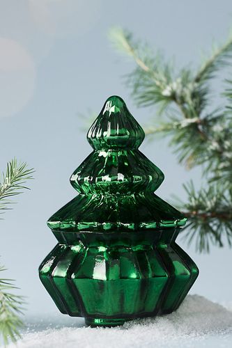 Bougie en verre Bright Trees au baume frais et bois de cèdre en Green taille: M chez - Anthropologie - Modalova