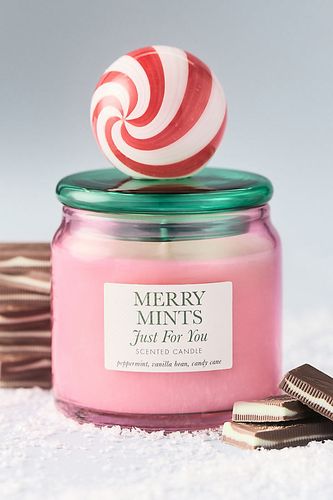 Bougie en verre avec couvercle Merry Mints Gourmand à la menthe poivrée en taille: XS chez - Anthropologie - Modalova