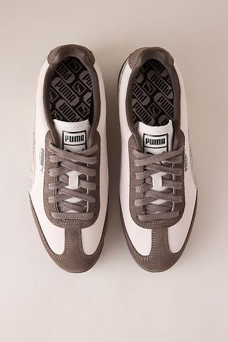 Baskets Arizona Snake en daim taille: F chez Anthropologie - PUMA - Modalova