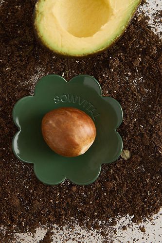 Disque de germination en acier inoxydable en chez Anthropologie - Sowvital - Modalova