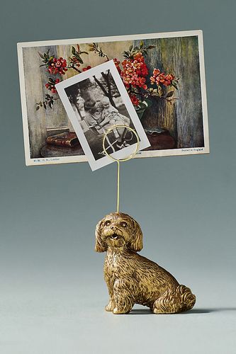 Porte-photo d'icône d'animal: Édition chien en Yellow chez - Anthropologie - Modalova