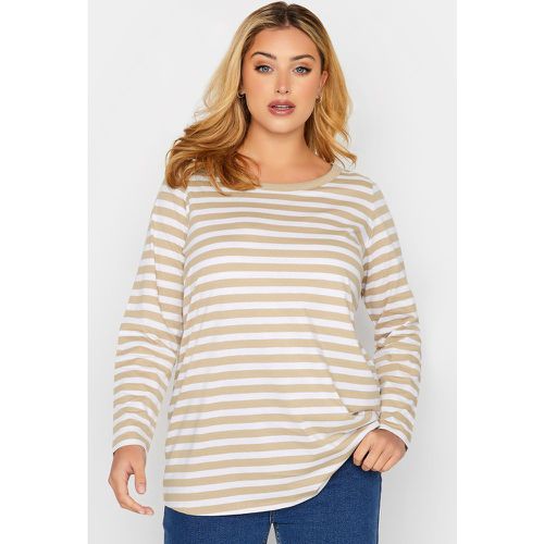 Tshirt Manches Longues Beige & Blanc Rayures , Grande Taille & Courbes - Yours - Modalova