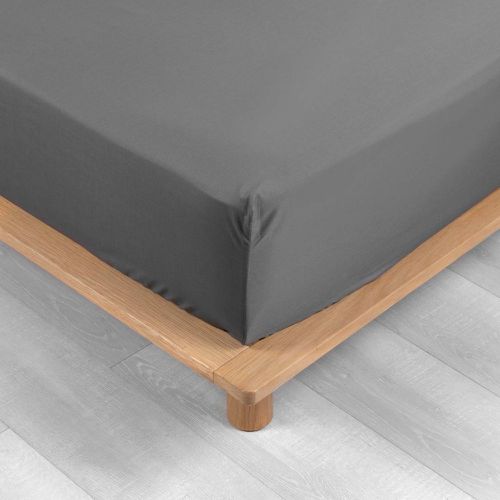 Drap Housse Percale Anthracite - Douceur D'Interieur - Modalova