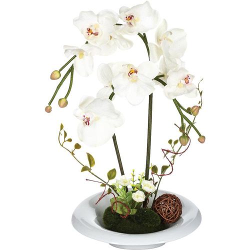 Composition orchidée en vase H46 fushia - 3S. x Home - Modalova