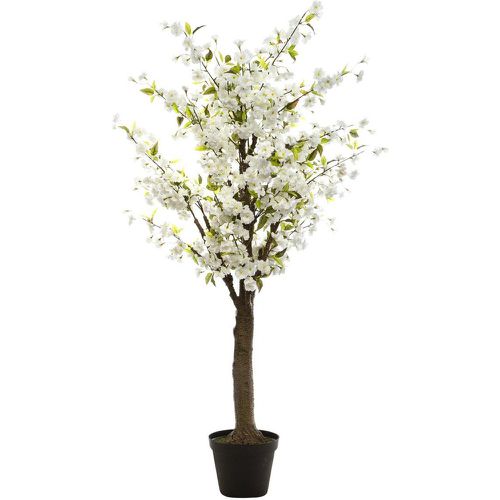 Cerisier Blanc - 3S. x Home - Modalova