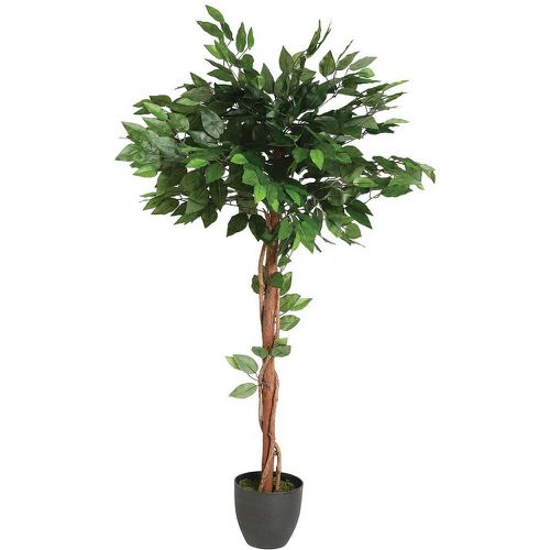 Ficus artificiel en pot H120 - 3S. x Home - Modalova
