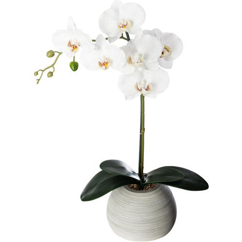Orchidée real touch ciment H.50 - 3S. x Home - Modalova