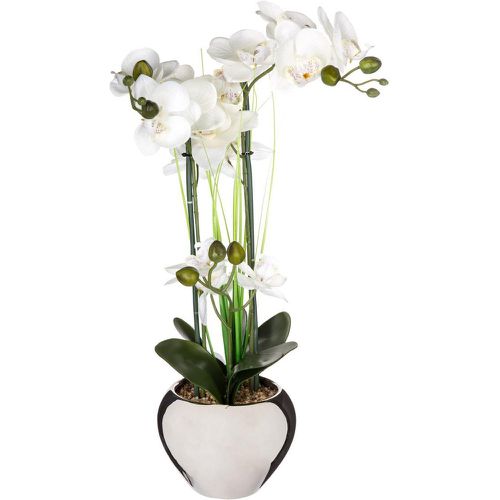 Orchidée et son vase argenté - 3S. x Home - Modalova