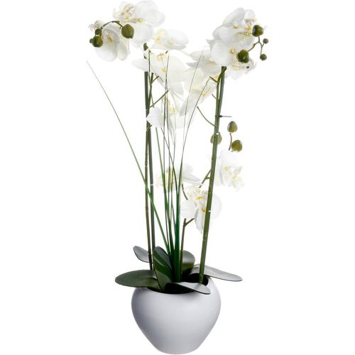 Orchidée vase céramique blanc H.53 - 3S. x Home - Modalova