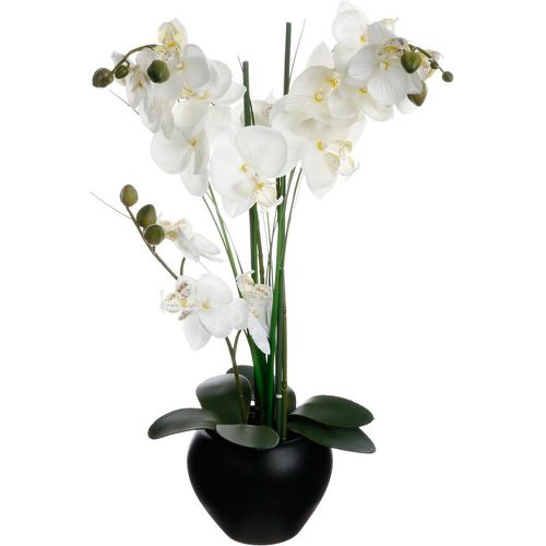 Orchidée vase céramique noir H.53 - 3S. x Home - Modalova