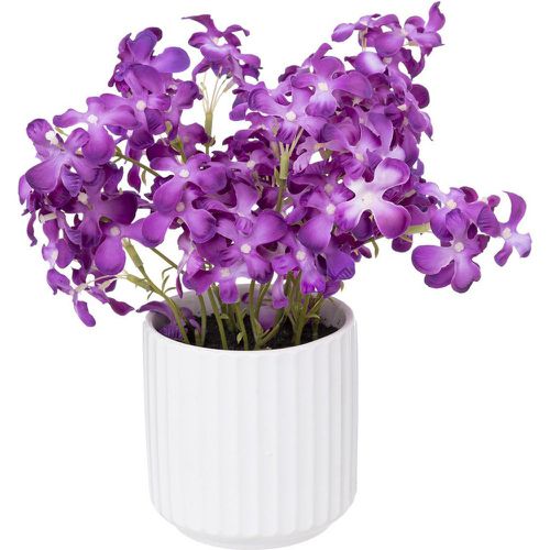 Violettes avec pot en céramique H27cm - 3S. x Home - Modalova