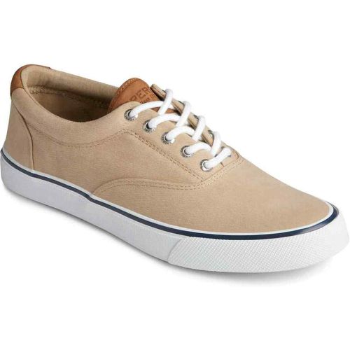 Chaussures Vulcanisée STRIPER II CVO - Coton - Sperry - Modalova