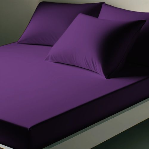 Drap-housse coton TERTIO® - Violet - 3S. x Tertio (Nos Unis) - Modalova